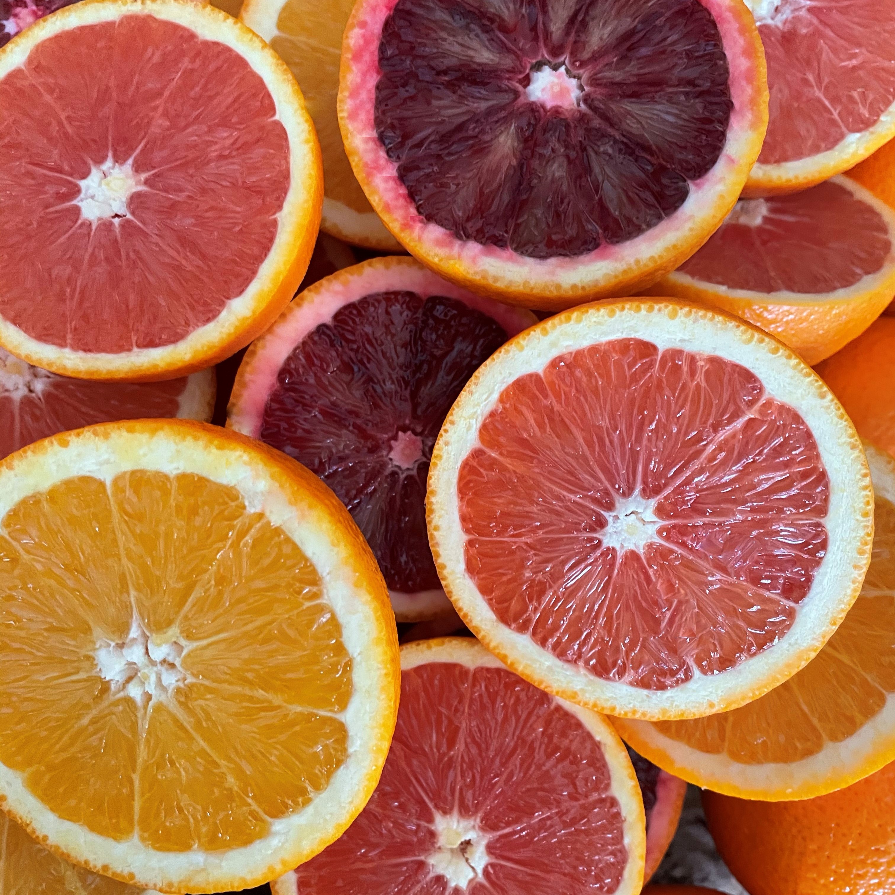 7 Cara Cara Red Navels + 7 Blood Oranges + 7 Yellow Navels