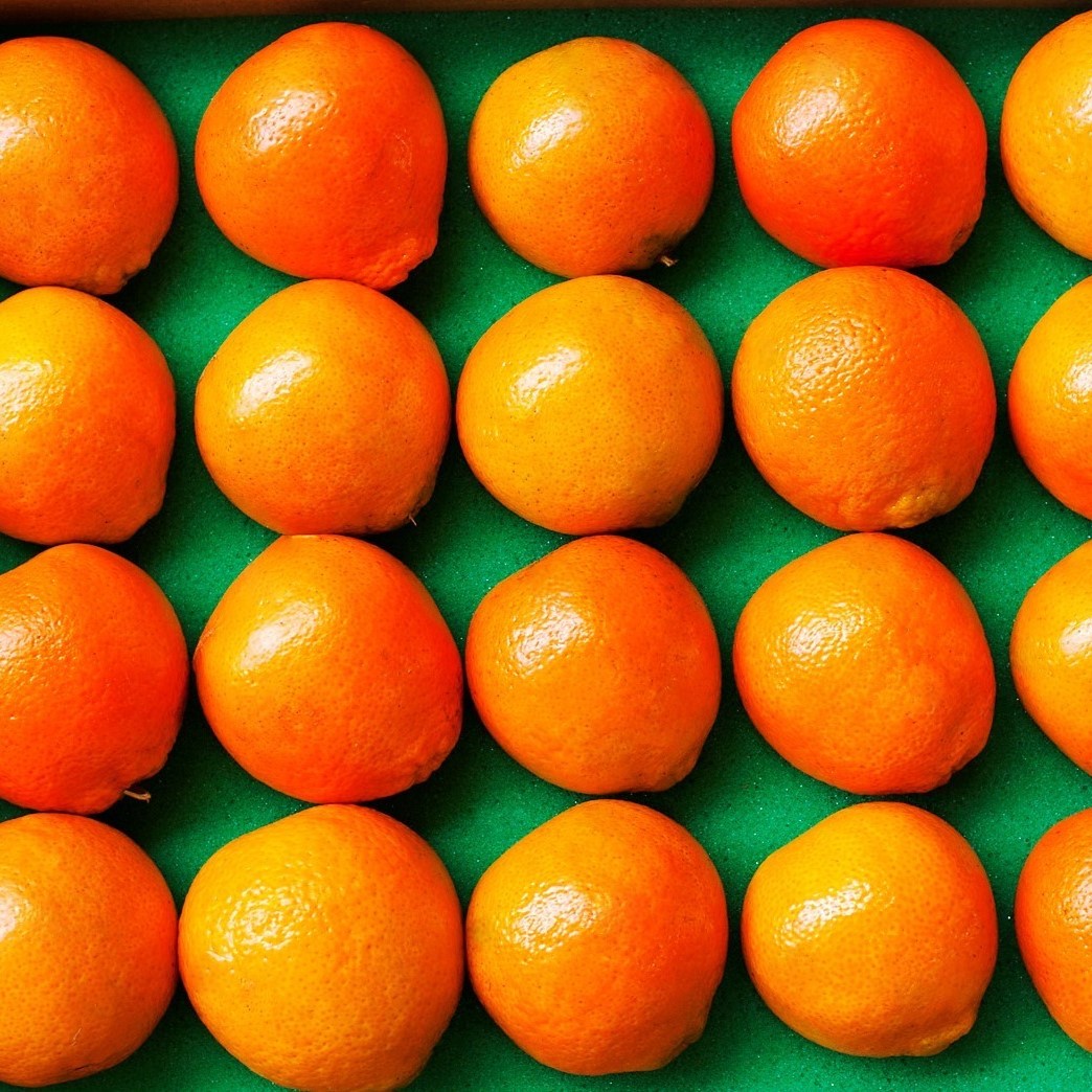 20 Honeybells