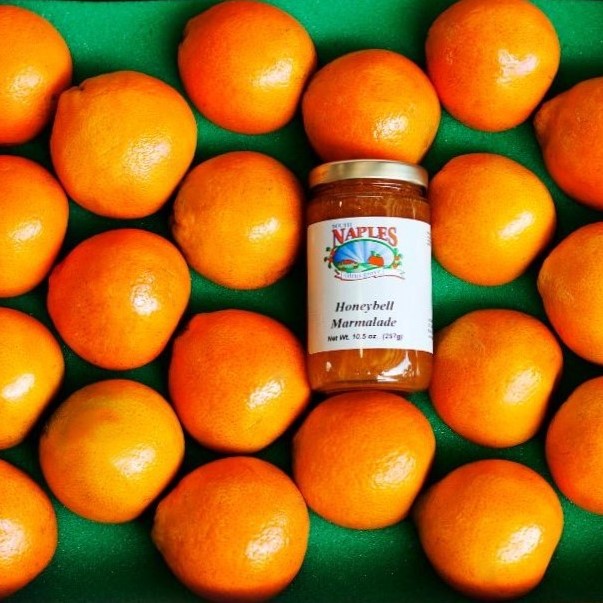 20 Honeybells + Marmalade