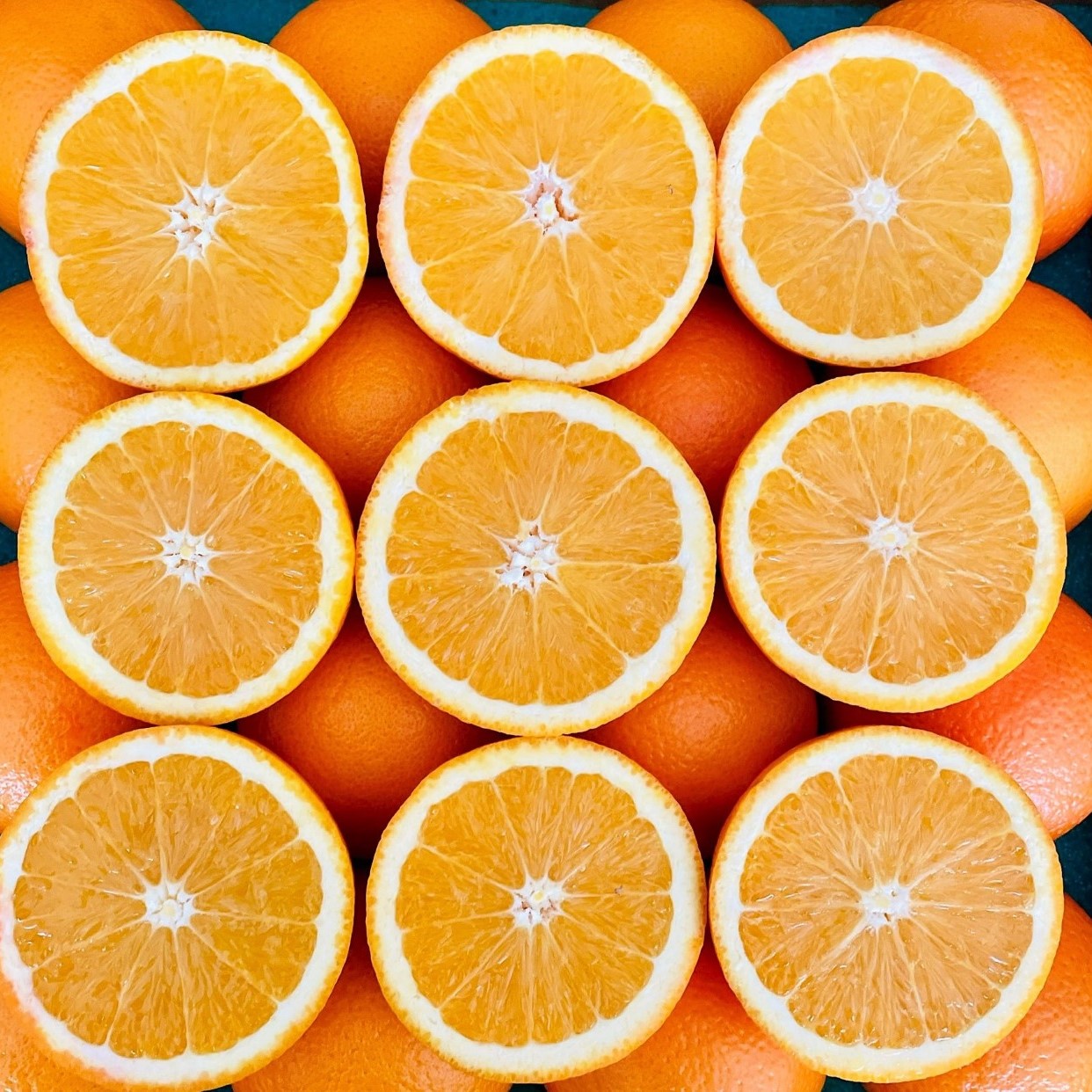 20 Petite Navel Oranges