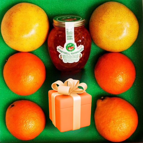 Naples Citrus Classic - 2 Seasonal Grapefruit + 4 Seasonal Oranges + Marmalade + 1 Preferred Gourmet Candy