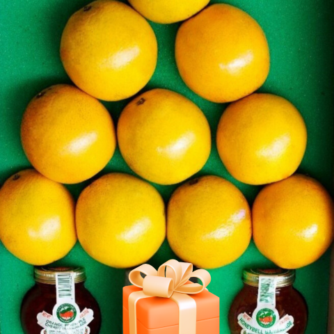 Merry Citrus Tree