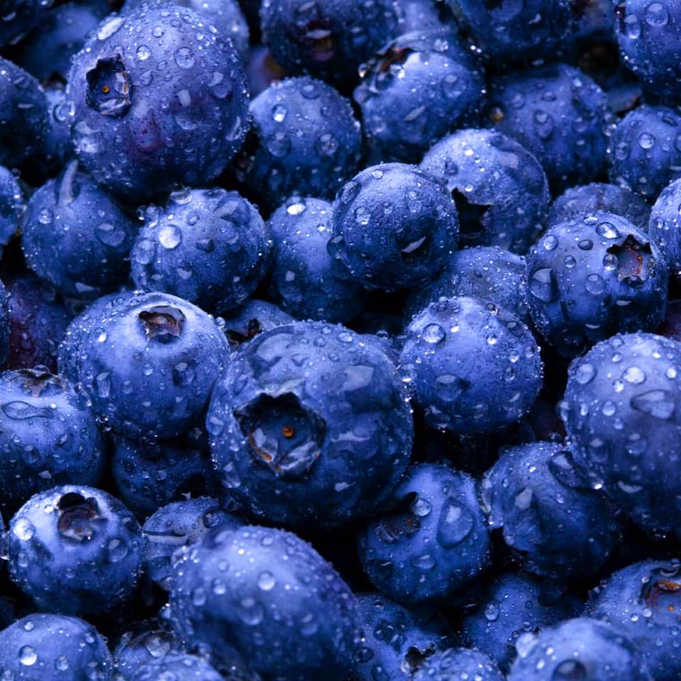 Blueberries