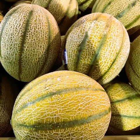 Cantaloupe