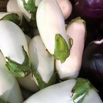 Eggplant