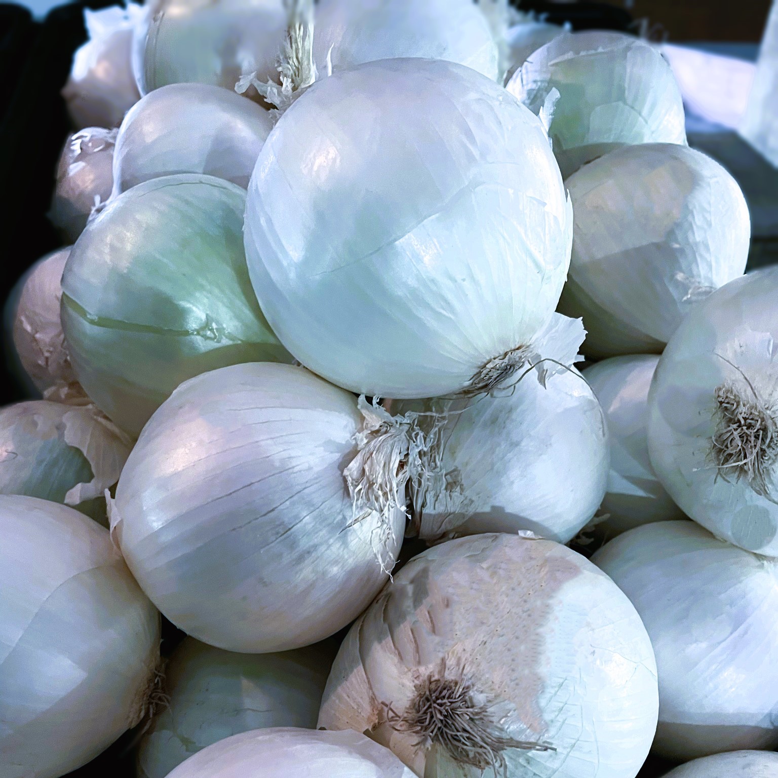 Onions - White