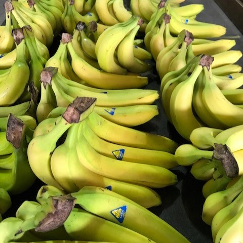 Bananas