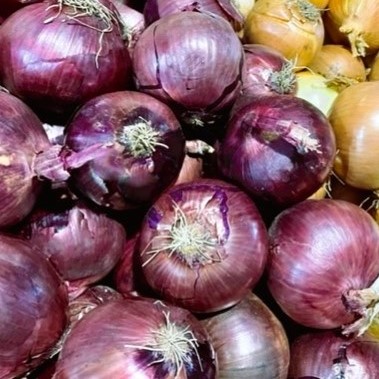 Onions - Red