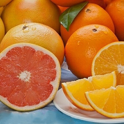 Ruby Red Grapefruit + Navel Oranges