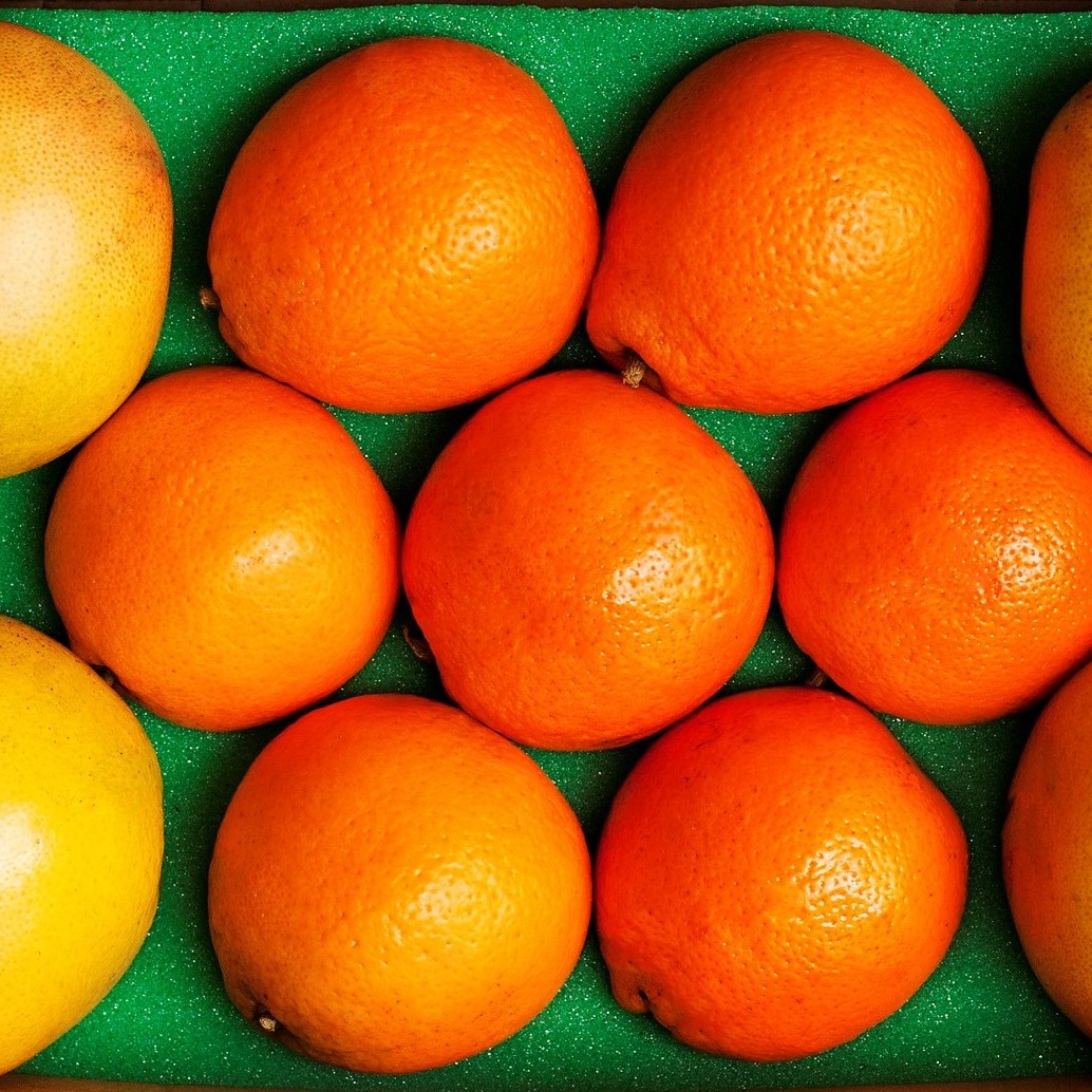 Ruby Red Grapefruit + Honeybells - Trays