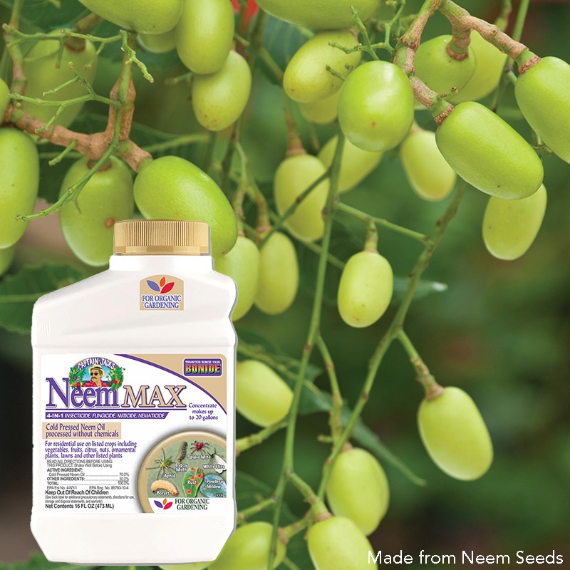 Product Image of Neem Max 16oz concentrate