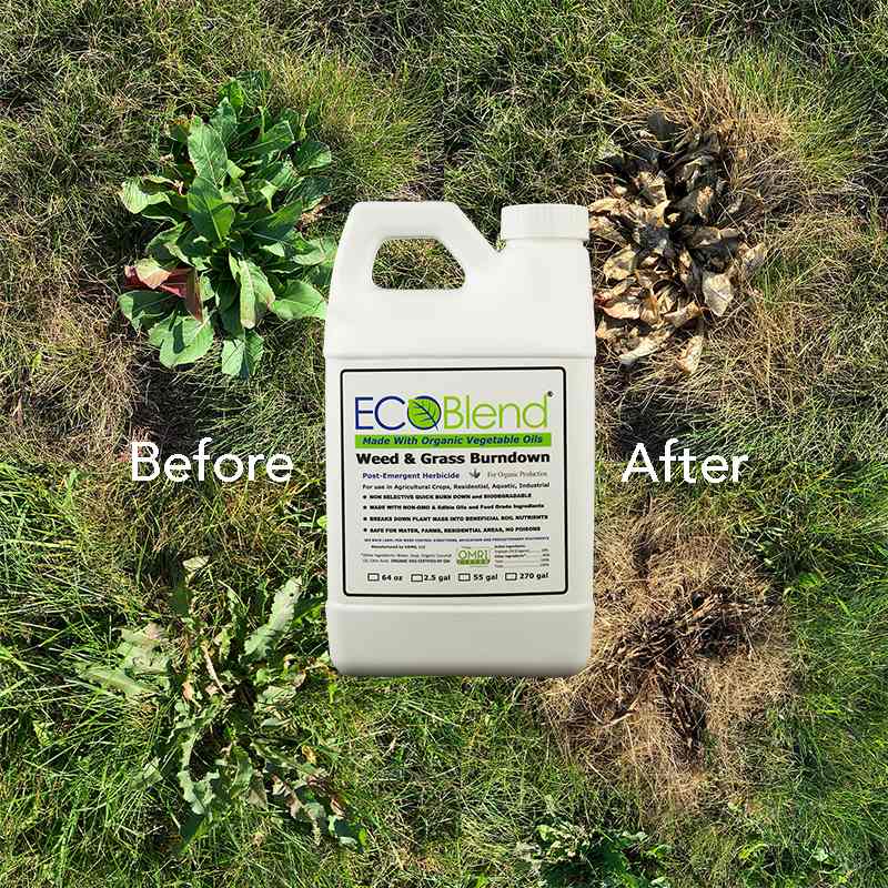 Product Image of Eco-Burn Weed & Grass Burndown