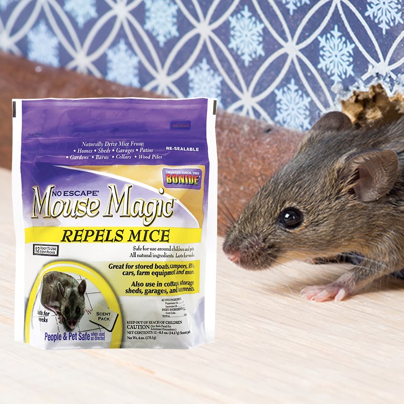 Product Image of Mouse Magic 12 pack