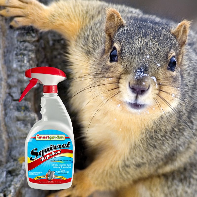 Product Image of All-Natural Squirrel Repellent 32oz ready-to-use