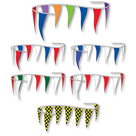 Multi-Color Spectrum Pennant